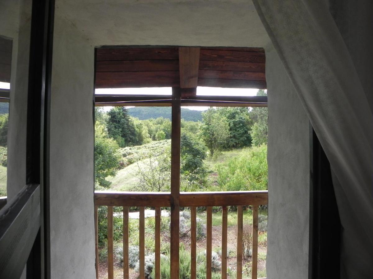 Komen Apartmaji Hedera מראה חיצוני תמונה