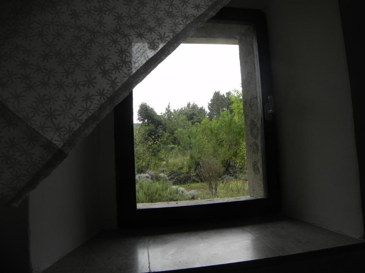 Komen Apartmaji Hedera מראה חיצוני תמונה