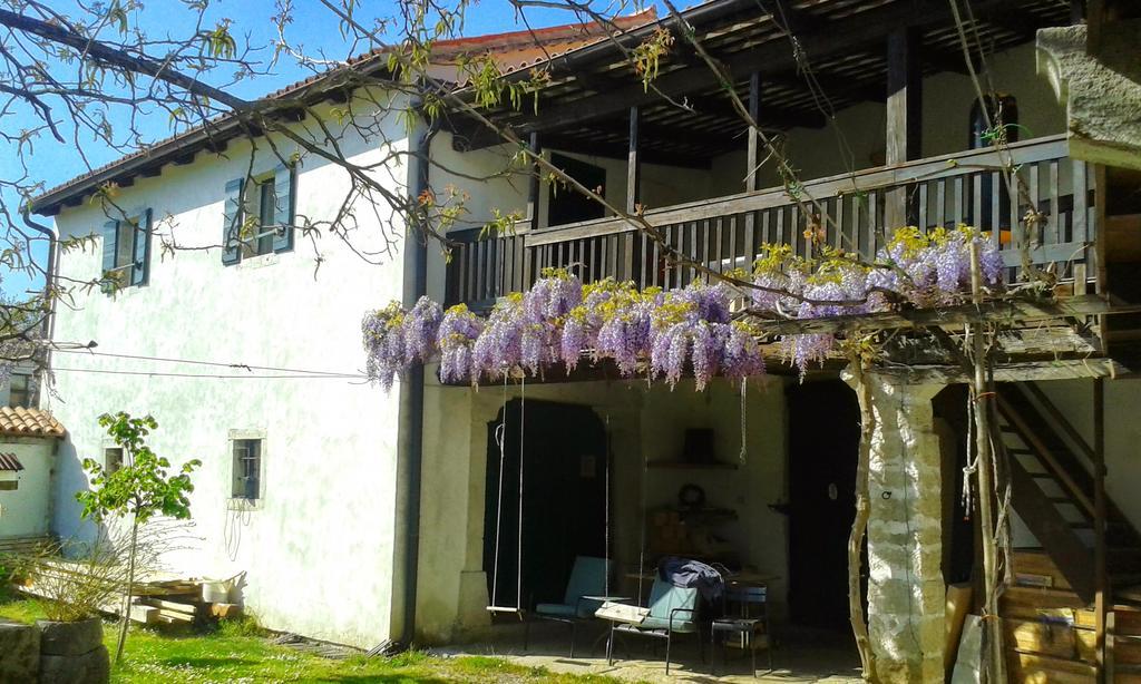 Komen Apartmaji Hedera מראה חיצוני תמונה
